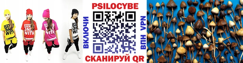 Псилоцибиновые грибы прущие грибы  MEGA маркетплейс  Трёхгорный  как найти закладки 